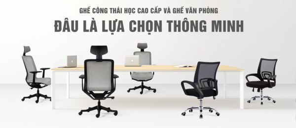 Ghế Công Thái Học Cao Cấp Và Ghế Văn Phòng: Đâu Là Lựa Chọn Thông Minh